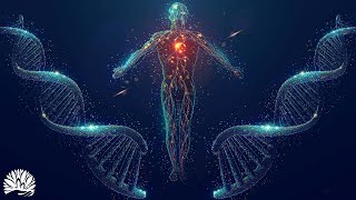 Full Body Healing Frequencies 528Hz  Alpha Waves Massage The Whole Body Regeneration Aging Cells [upl. by Odrareve239]