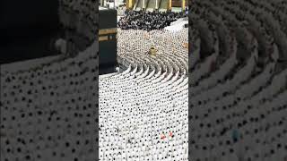 mosjid Haram viralshort islamicshorts islamicvideo shorts2024 mokka mosjid youtubeshorts [upl. by Thorsten]