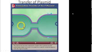 Prokaryotic Genetics Part 4 Transposons Plasmids and Conjugation [upl. by Clarita]