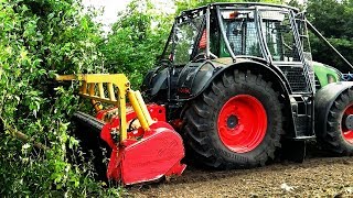 BAUMFÄLLUNG  FENDT 939 VARIO amp FORSTMULCHER SEPPI M MAXIFORST [upl. by Nimzzaj]