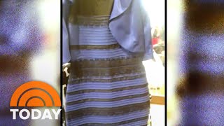 The Dress Debate SETTLED Black And Blue  Or White And Gold  TODAY [upl. by Oinimreh]