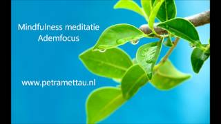 Mindfulness meditatie  Ademfocus [upl. by Lipson]