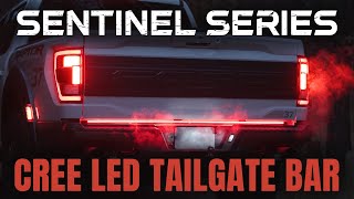 The ULTIMATE Tailgate Bar for your F150 Super Duty amp Raptor The Sentinel Series by F150LEDscom [upl. by Atirabrab]