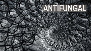 Antifungal [upl. by Hwu]