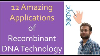 Applications of Recombinant DNA Technology RDT  Genetic Engineering [upl. by Norby]