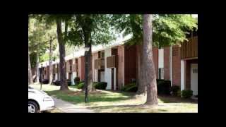 The Plaza Apartments in Virginia Beach VA by RENTCafecom [upl. by Olympe]