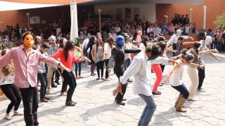 Flashmob Thriller [upl. by Christoforo]