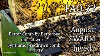 Better Comb by BetterBee Review FAQ 32 Will Honey Bees Produce Brood in Better Comb [upl. by Constanta]