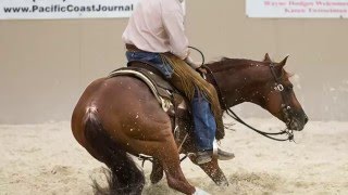 Cattalou  SDP Buffalo Ranch 2014 Breeders Invitational Classic Open CHAMPION [upl. by Rozamond16]