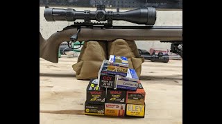 Ruger American Rimfire LongRange Target Timney Trigger Quick Review and Ammo Comparison Part 1 [upl. by Ricardama]