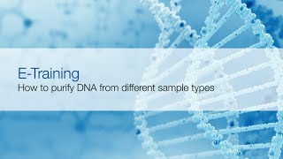 Sample preparation for nucleic acid extraction [upl. by Knut146]