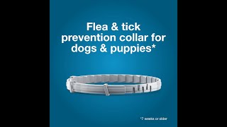 Best Flea and Tick Control Seresto Collars [upl. by Sabella]