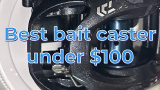 Best Reel Under 100 What a deal [upl. by Yvan2]