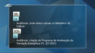 Cotas raciais na cultura e aceleração da transição energética são temas em debate nesta quinta [upl. by Earesed689]