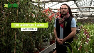 La VANILLE une ORCHIDÉE GRIMPANTE au charme surprenant  Conseils de CULTURE et ENTRETIEN [upl. by Conley]