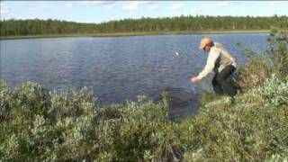 Lars Monsen  Ett År I Fisk nordkalotten 365 kavalkade [upl. by Beuthel]