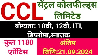 CCL नया भर्ती 2024  CCL Apprentice Vacancy 2024  How To Apply [upl. by Dielu]