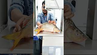 River carp fish cutting skills special fish cutting shorts fishlaver shorts [upl. by Judye589]