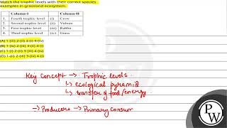 Match the trophic levels with their correct species examples in grassland ecosystem [upl. by Einafets74]