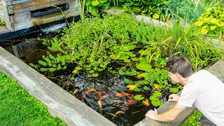 The Sad Truth of My DIY Garden Pond [upl. by Ainod]