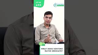 What is SORTINO RATIO  Investment Expert and Guide [upl. by Turnheim]