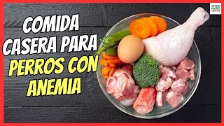 🐶 COMIDA CASERA PARA PERROS CON ANEMIA 🐶 ALIMENTOS CON MÁS HIERRO Y VITAMINA C [upl. by Xuaeb363]