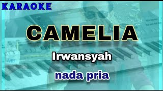 Karaoke CAMELIA nada pria  Irwansyah [upl. by Nessaj]