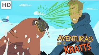 Aventuras con los Kratt  Vamos A Explorar Criaturas Raras [upl. by Odlanor]