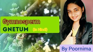 GnetumLife CycleGymnospermBy Poornima [upl. by Soulier]