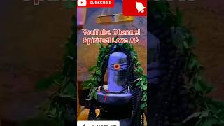 🕉️Chant Karpura Gauram Mantra with Meaning🙏 । Karpura Gauram amp Om namah shivaya shortsvideo shiv [upl. by Hazen]