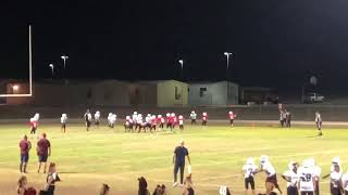 Deegan Warnock Runs it for a touchdown Against Dessau middle school [upl. by Yeliak]