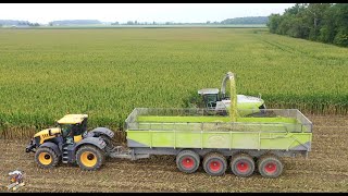 Eastside Dairy Corn Silage Harvest 2020 [upl. by Ayiotal]