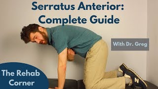 Serratus Anterior  A Complete Guide [upl. by Ifen]