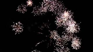 Blazing Star firework by Brothers Pyrotechnics [upl. by Evan]