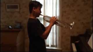 Anchors Aweigh United States Navy Fight Song Trumpet cover [upl. by Alenson]