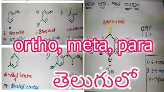 Ortho meta para positions [upl. by Rotsen527]