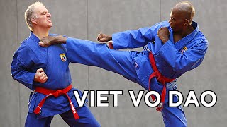 Vovinam Viet Vo Dao avec Gilles Crozon Cazin 5ème Dan FFKDA [upl. by Romo302]