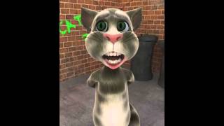 Talking Tom nokat marrakchia 5 نكت مراكشبة [upl. by Ycnan]