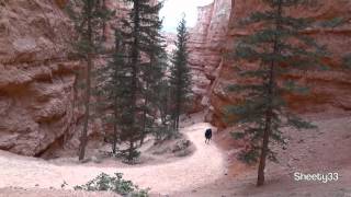 Navajo Loop Trail Bryce Canyon HD [upl. by Hpseoj]