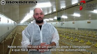 🐣 🐥 🐔 Avicultura – Luís Neto 🐔 🐥 🐣 [upl. by Eiblehs676]