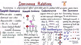 Dominance relations  complete dominance  incomplete dominamce  codominance  overdominance [upl. by Oehsen]