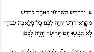 Rosh Hashanah Day 1 First Torah Maftir Verse 1  Learn Biblical Hebrew [upl. by Esertal]