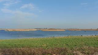 RSPB Blacktoft Sands Ambient landscape [upl. by Vergne]