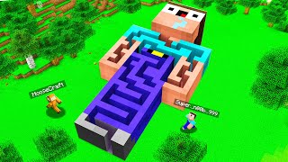 NOOB Builds MAZE INSIDE GIRLFRIEND HOUSE To STEAL HER DIAMONDS Minecraft [upl. by Retep]