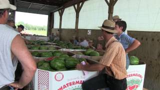 Produce Auction In Lancaster County [upl. by Ungley]