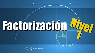 Factorización  Ejercicios Resueltos Nivel 1 [upl. by Iztim]