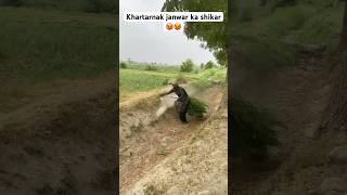 Khartarnak janwar ka shikar 🥵🥵 farming huntingseason hunting villagelife deerhunting [upl. by Reilamag]