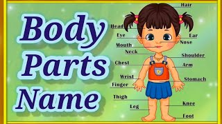 Body Parts Name बॉडी पार्ट्स नाम सीखें हिंदी में [upl. by Dorcea]