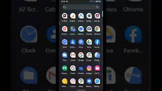 How to Enable VoLTE on Android 10  All Pixel Devices [upl. by Geminian]