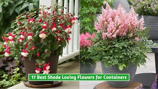 17 Best Shade Loving Flowers for Containers [upl. by Dressler]